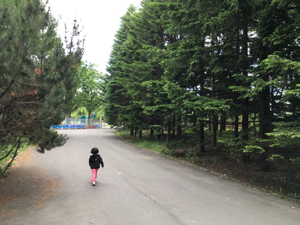 百合が原公園の林の歩道を抜けると