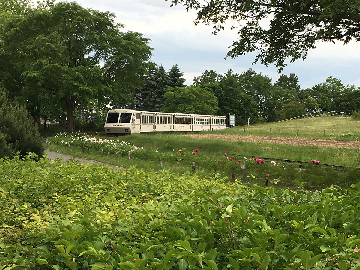 百合が原公園の電車